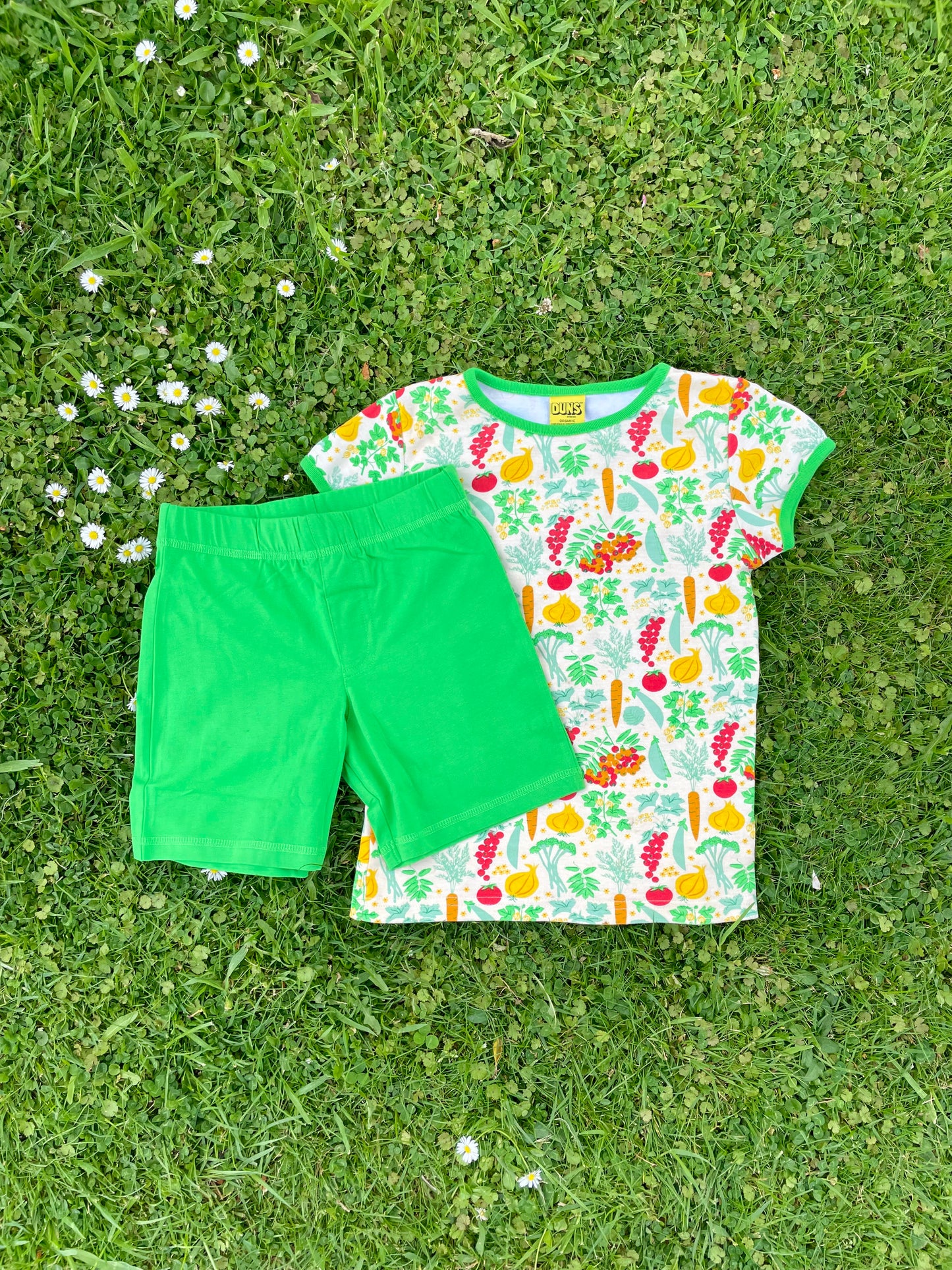 MTaF - Short pants - Classic Green (2-4 Years)