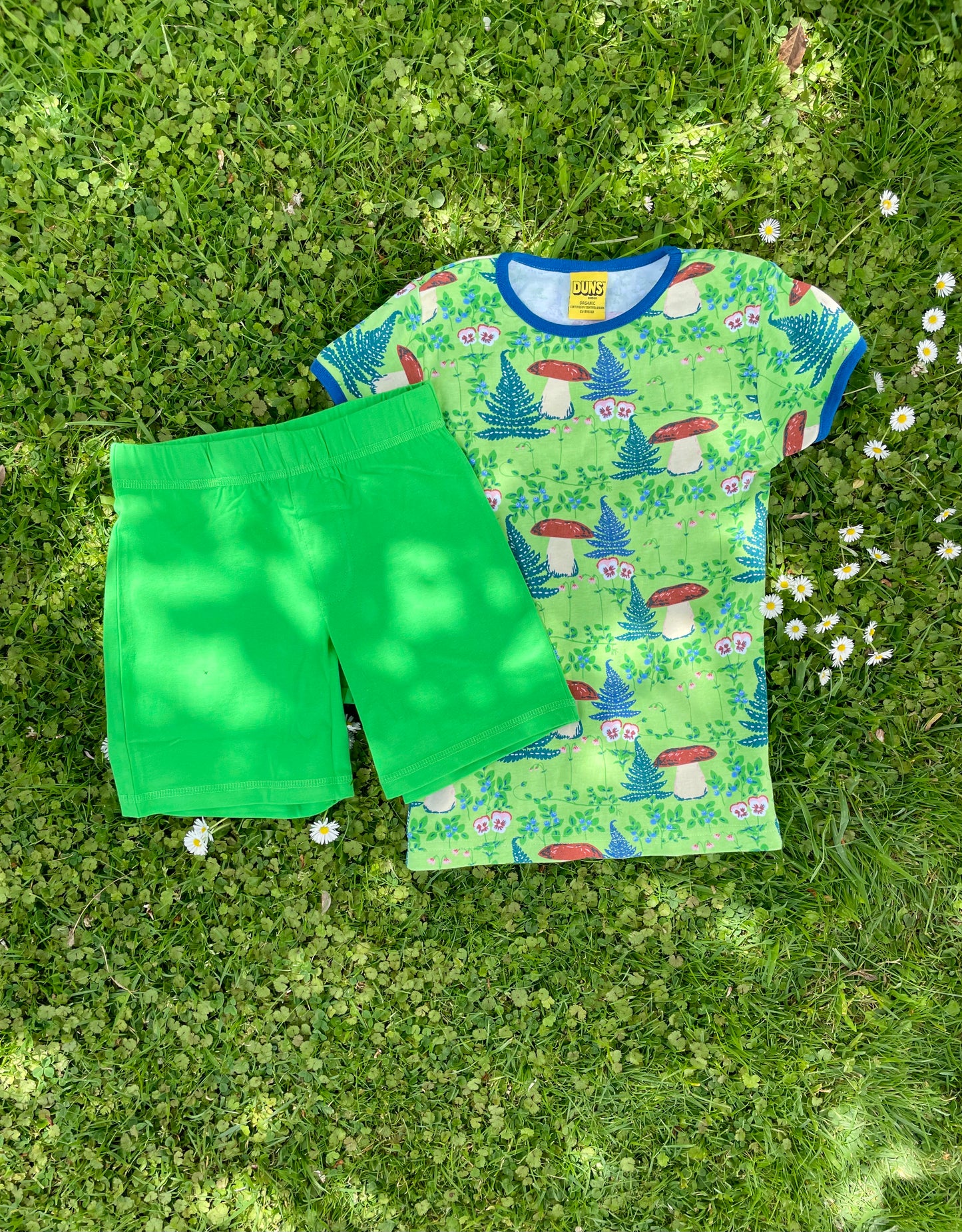 MTaF - Short pants - Classic Green (2-4 Years)