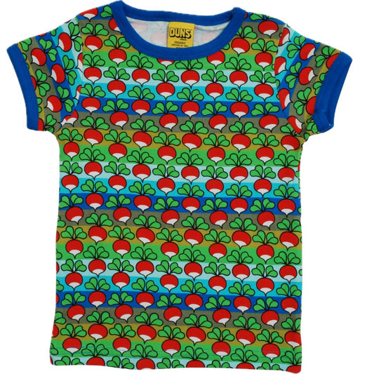 Short sleeve top - Radish Stripe Blue/Green